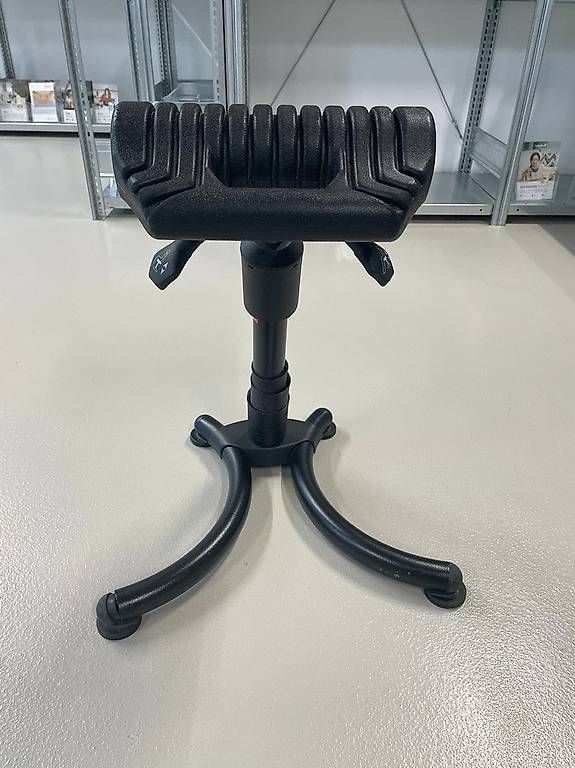 Sgabelli: Ergonomischer Stehhocker  Höhenverstellbar – Usato da Wädenswil venduto da kingnature 1