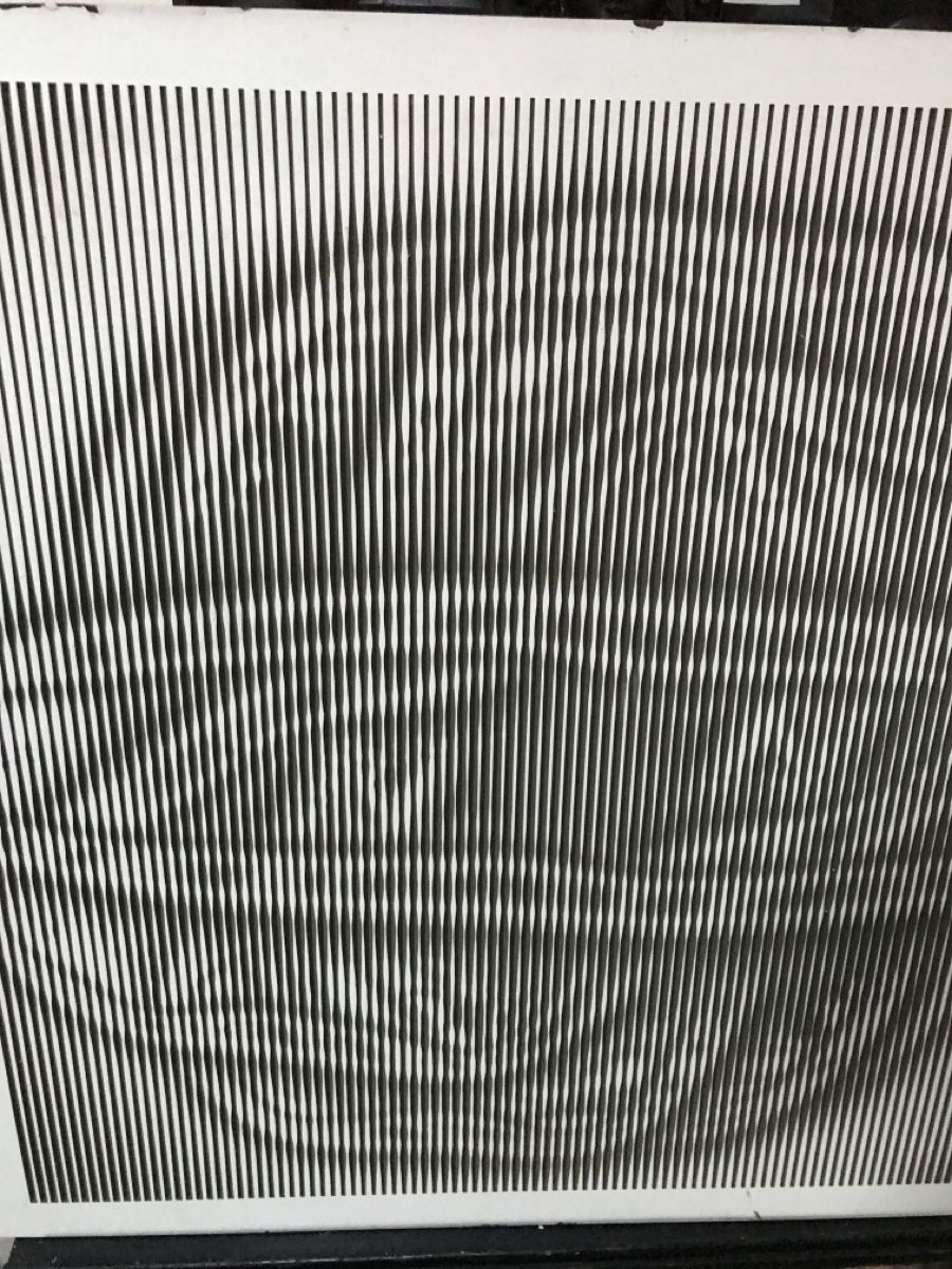 Dipinti: Interessantes Bild optische Illusion – Usato da Wolfhalden venduto da SecondAntique 2