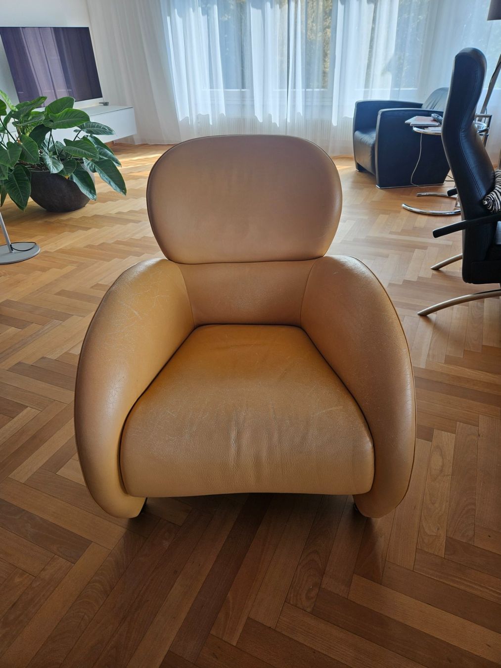 Poltrone: Ledersessel – Usato da Hausen am Albis venduto da m.mue13 3