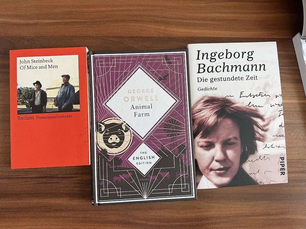 Libri: Akad/ Passerelle Bücher – Usato da Grüt (Gossau ZH) venduto da Abulfaz_Abulfaz 2