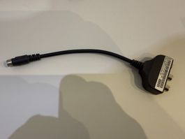 S-Video Kabel auf Video-Audio & S-Video, 20cm, Grau, NEU