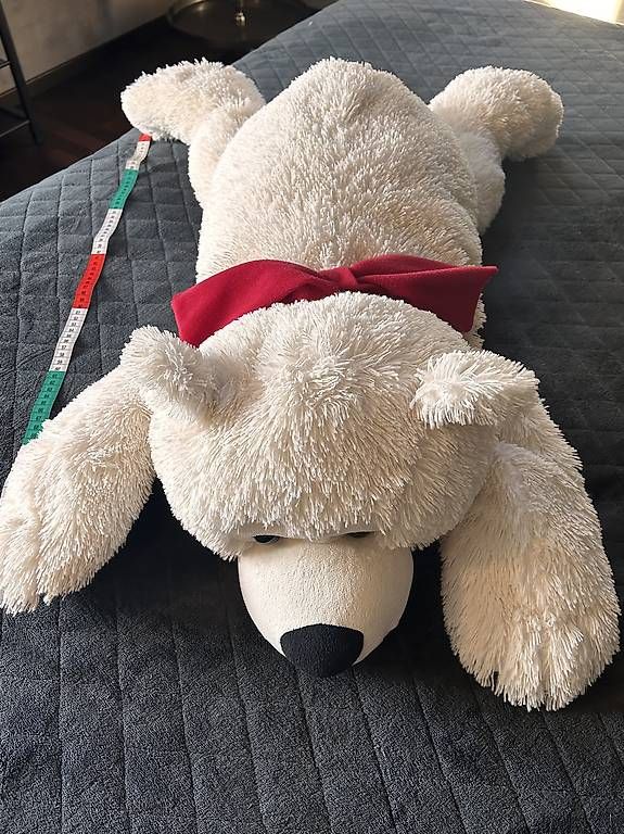 Jouets: Teddy – D'occasion à Grenchen par benu01 1