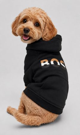Schwarzer Hundepulli Hugo Boss Gr. XS 🐶