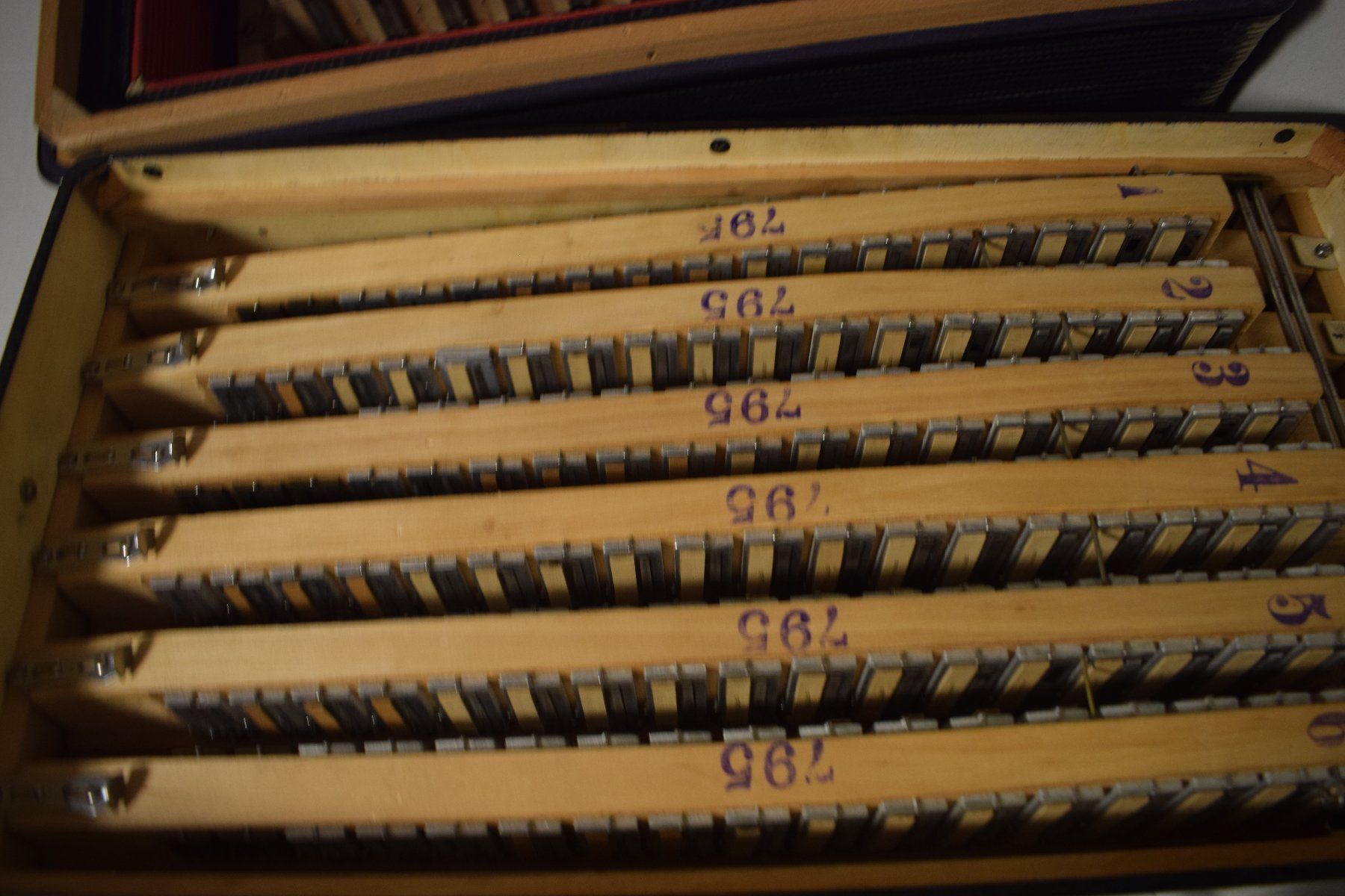 Strumenti musicali: Akkordeon chromatisch Bernard Luxe – Usato da Zürich venduto da baumusik 9