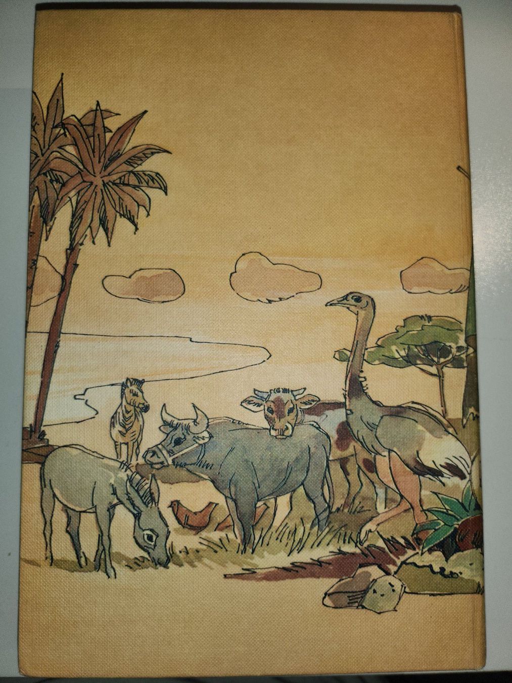 Libri: Der Schweizerische Robinson, Jugendbuch-Klassiker! – Usato da Dietikon venduto da Buchantiqdietikon 1