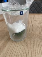 Tischteelicht von Leonardo