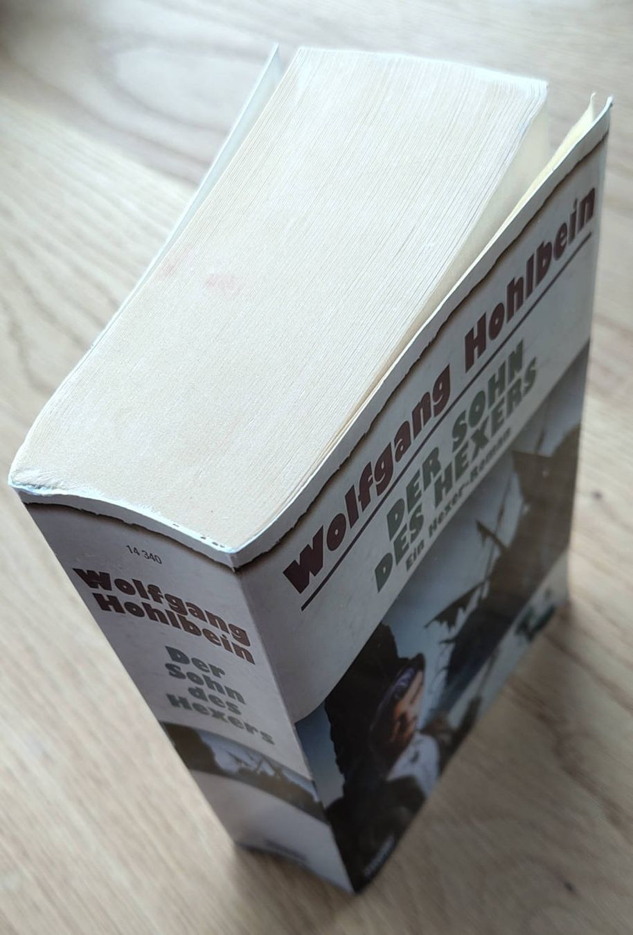 Libri: Der Sohn des Hexers - Wolfgang Hohlbein – Usato da Zürich venduto da kba_579s 2