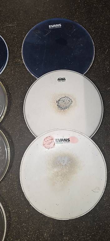 Musikinstrumente: Drum Heads Gebraucht – Gebraucht aus Freienbach von Damdrum 3