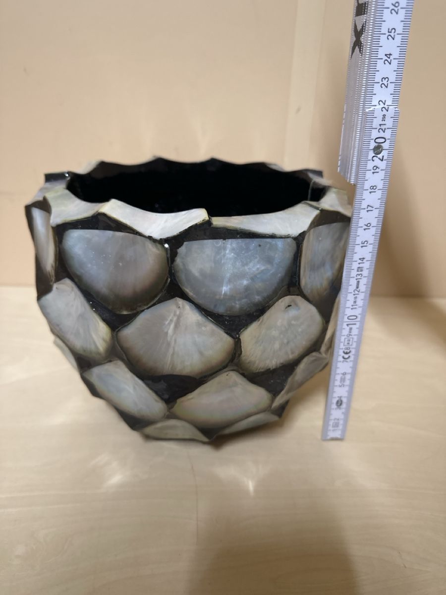 Vasi & Recipienti: Muschelvase – Nuovo (secondo la descrizione) da Hausen AG venduto da Nah5yj