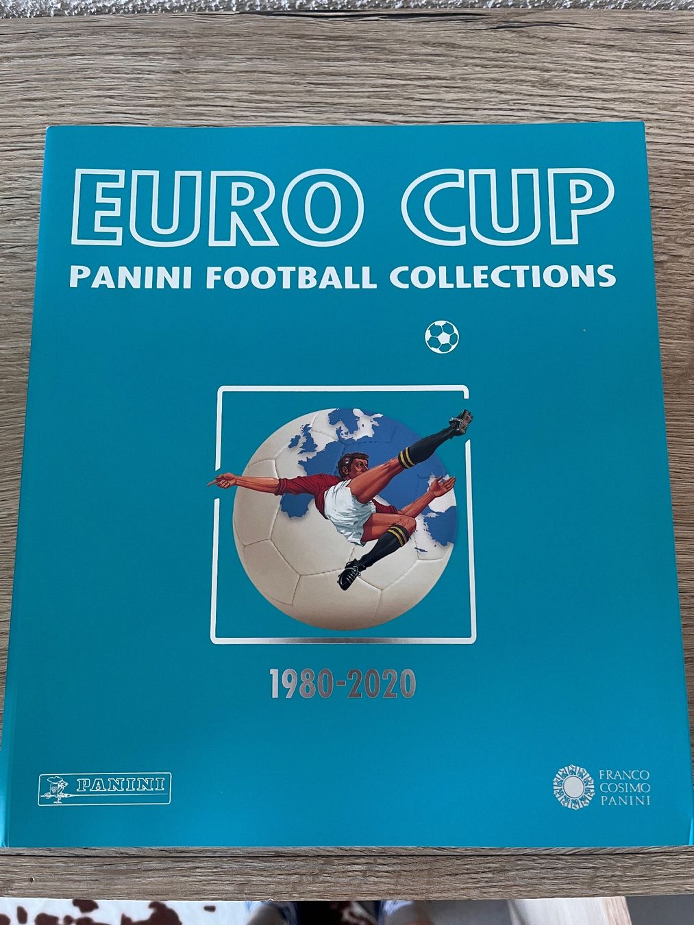 Panini Carte collezionabili: Riesige Panini Sammlung – Nuovo (secondo la descrizione) da Luzern venduto da Vansand 3