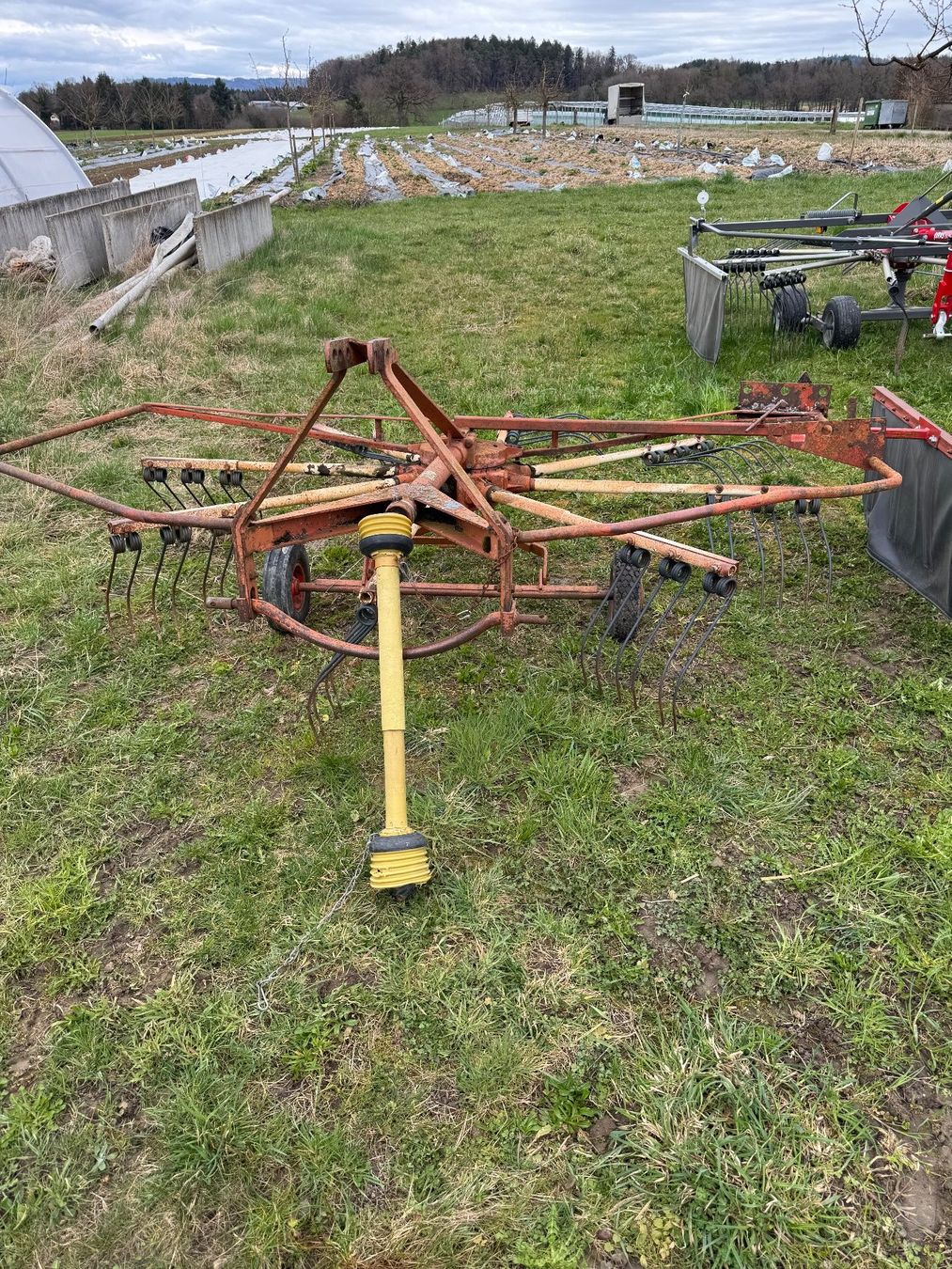 Raccolta foraggio grezzo: Kreiselschwader – Usato da Ried b. Kerzers venduto da Renner011 1