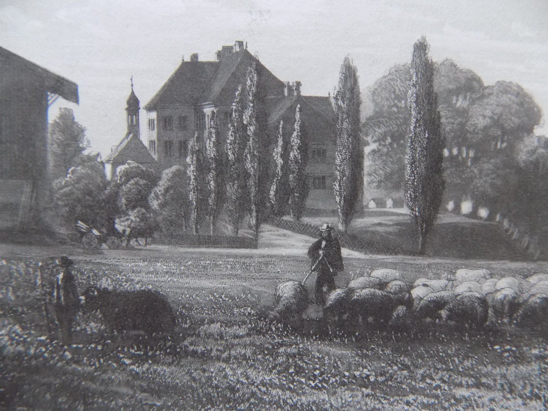 Gravures: Eppishausen Schloss in Erlen – D'occasion à Risch par Rischli15 8