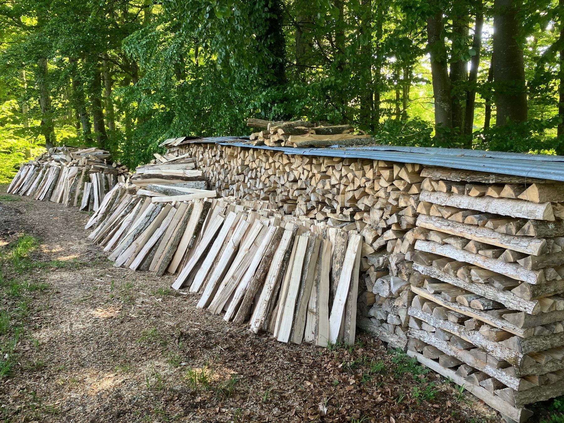 Articoli in legno: Brennholzspälten 1m Esche – Nuovo (secondo la descrizione) da Schalchen venduto da kel_xr7s