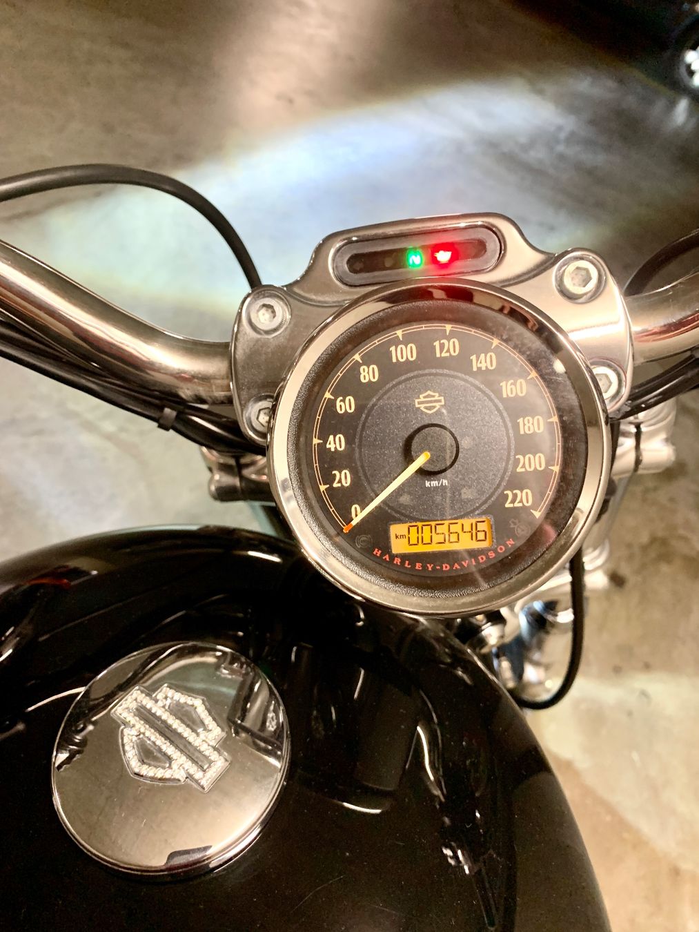 Harley-Davidson Chopper: HARLEY SPORTSTER 1200 C ABS – Usato da Erlenbach ZH venduto da Benjamin_1 3