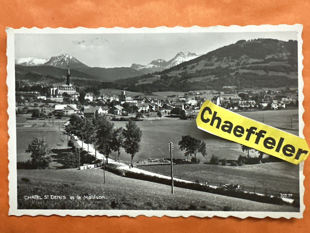 Cartoline postali: Feldpost: Châtel-St-Denis, Le Moléson mit Stempel  – Usato da Zürich venduto da Chaeffeler