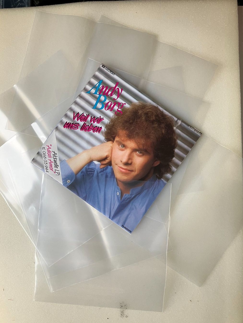Dischi in vinile: Plastikschutzhüllen Singles – Nuovo e nell'imballaggio originale da Aarwangen venduto da Jukebox3