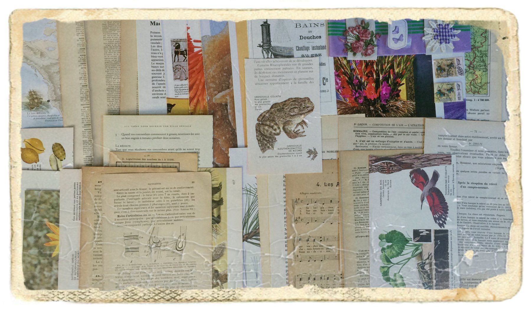 Libri: ephemera 10/papier collage bastelpapier scrapbooking+Versand – Usato da Pully venduto da websurfer1