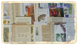 ephemera 10/papier collage bastelpapier scrapbooking+Versand
