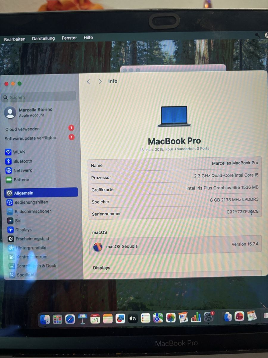 Apple Notebooks: MacBook Pro 13" 2018 i5 8GB RAM 256GB SSD  – Gebraucht aus Zürich von clean.closet 2