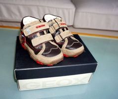Leder neu halbschuhe von Geox in Gr. 23