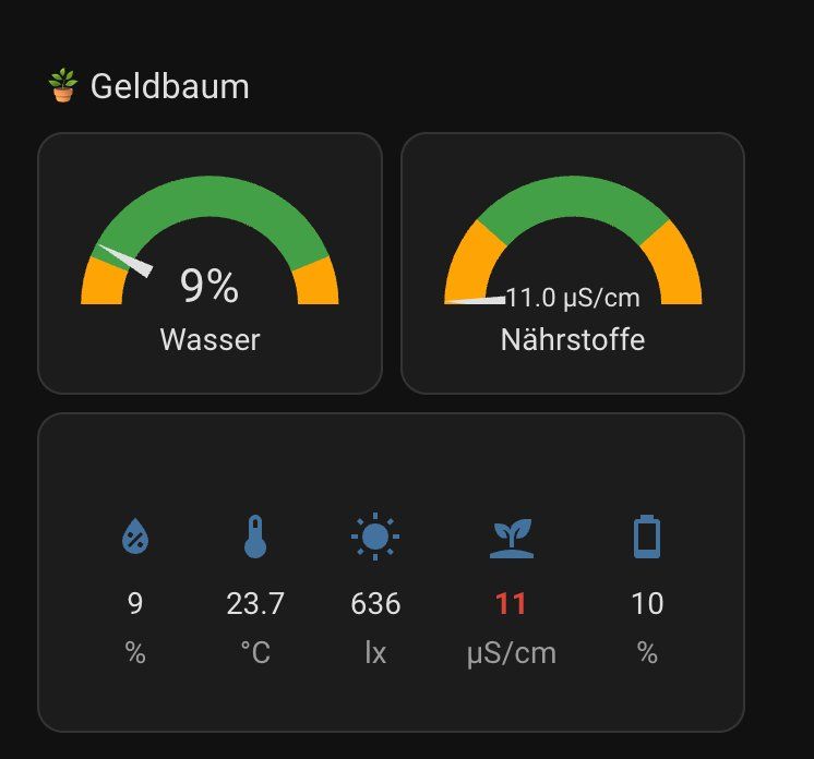 Messen: Pflanzensensor z.B. für Home Assistant – Gebraucht aus Zürich von muxamsonntag 8