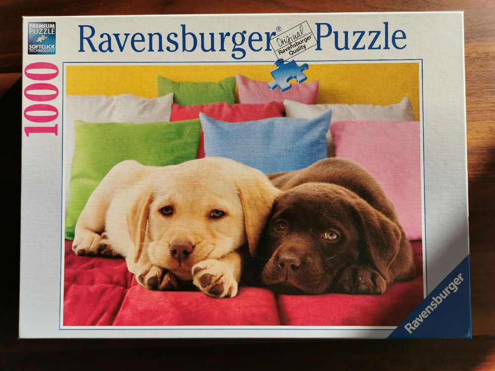 QuizQuirk 1000-teiliges Puzzle – Bunte Welpen-Motive, Fertig 68,6 X 68,6 Cm, Inkl. Klebeblätter Zum Aufhängen
