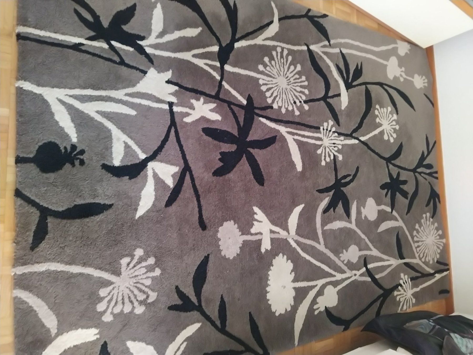 Tappeti: Tappeto 228x160 cm – Usato da Figino venduto da Palotta