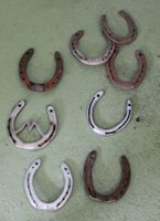 8 Hufeisen (CI)