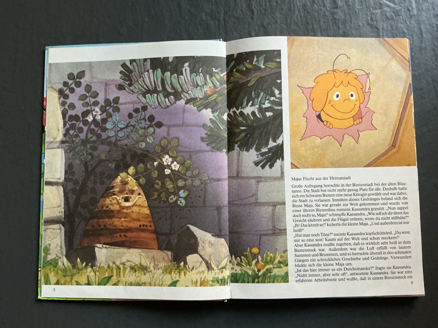 Bücher: Biene Maya – Gebraucht aus Niederhasli von ercp4 2