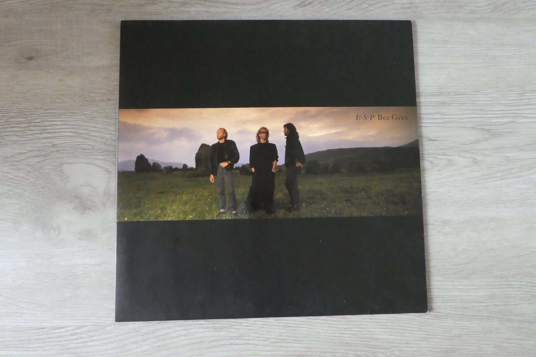 Dischi in vinile: Bee Gees LP, E-S-P – Usato da Andelfingen venduto da Annegret06