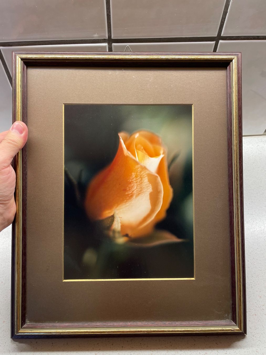 Telefoni cellulari / Smartphones: Schöne Rosenbild-Photography mit Rahmen – Usato da Winterthur venduto da sportdisco2 2