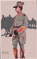 Schweizer Armee, Felduniform, Artillerie Wachtmeister (2208)