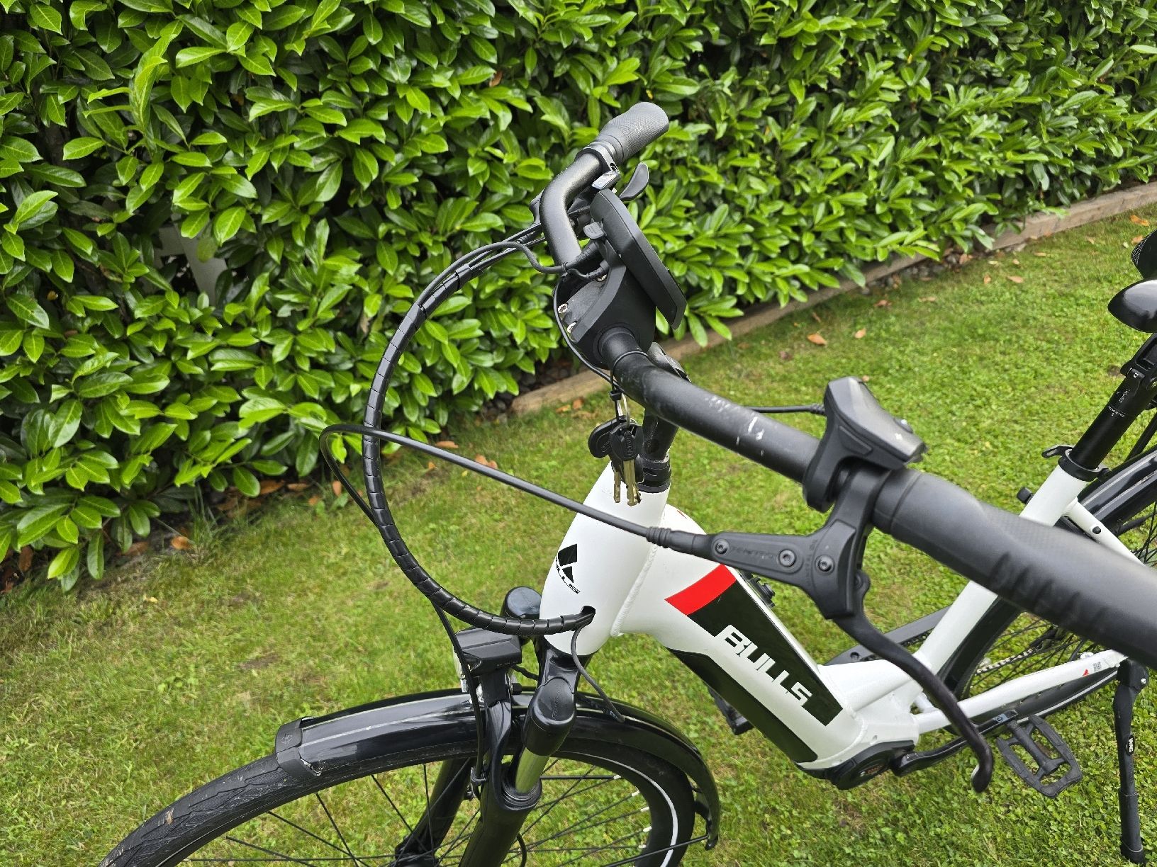 Bulls Biciclette: Bulls E-Bike 25 km/h – Usato da Kägiswil venduto da Qendro95 3