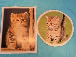 2 grosse Sticker Katzen, Dm: 23cm und 22 x 30cm