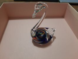 Glasschwan