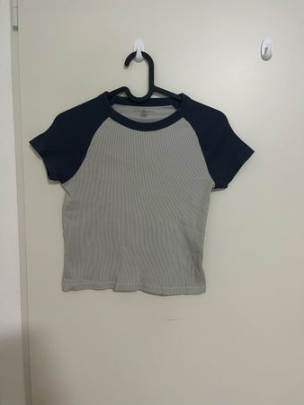 grey blue brandy melville crop top
