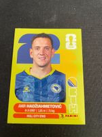 FIFA WM 2026 Sticker BIH 8