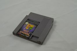 Dragon's Lair NES Spiel