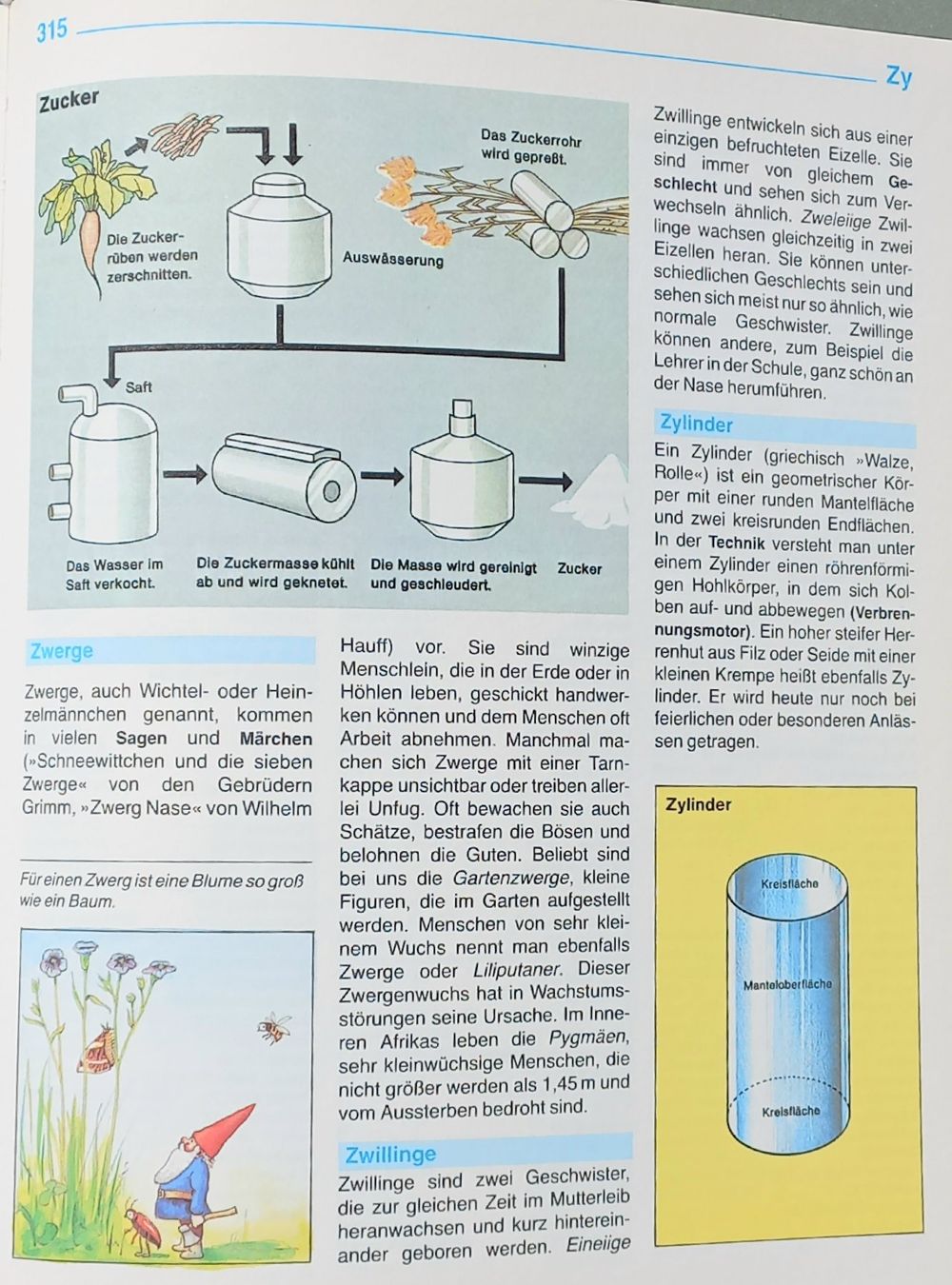 Libri: Buch - Das grosse, farbige Kinderlexikon – Usato da Niederuzwil venduto da lubimaja 6
