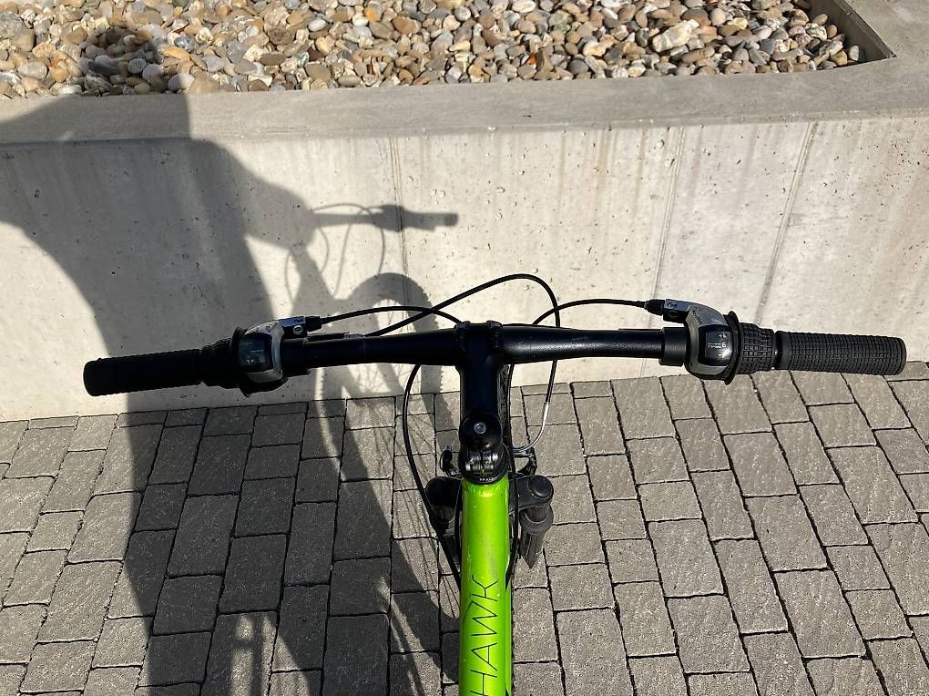 Biciclette:  Fahrrad Race  – Usato da Ruswil venduto da Buda010 1