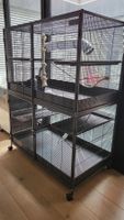 Savic Suite Royale XL cage pour rongeurs (rats et autres)