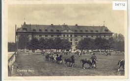 Caserne Bern - Pferde