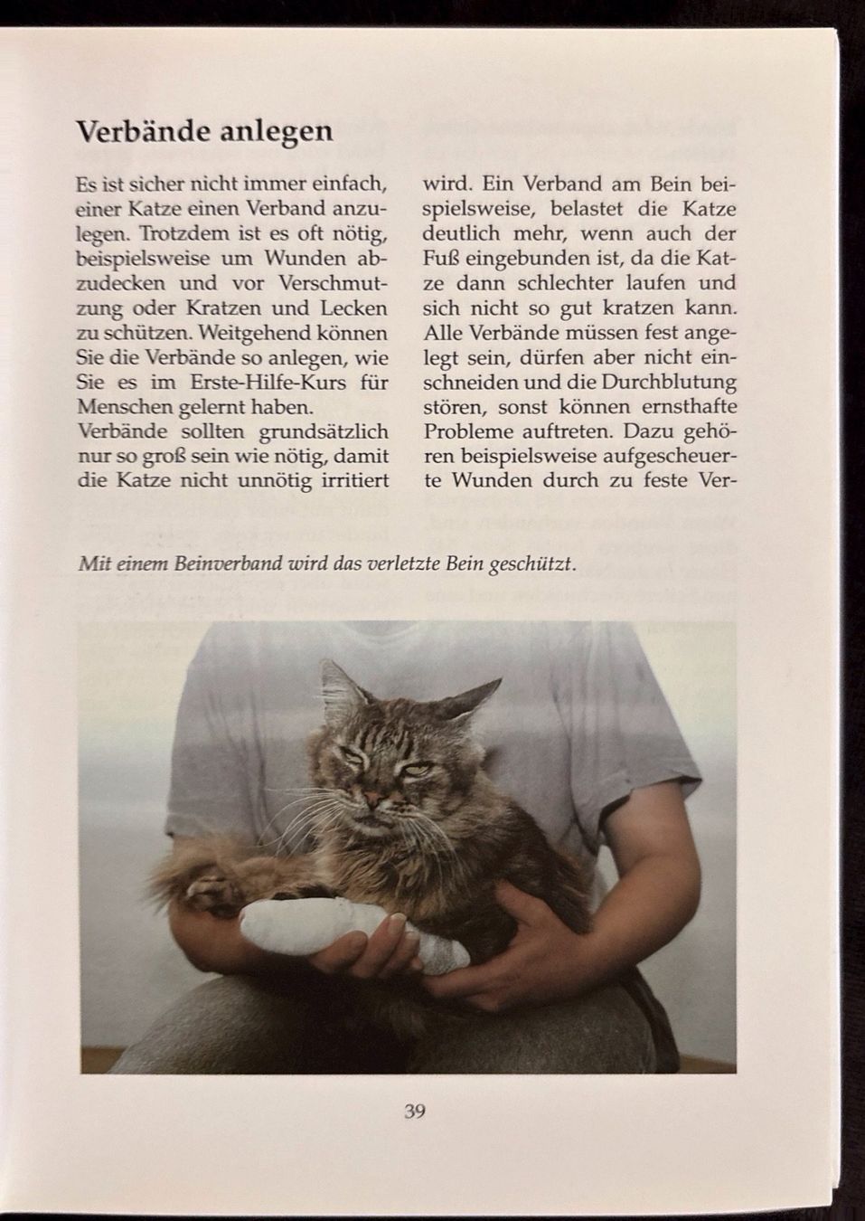 Libri: Erste Hilfe für Katzen – Nuovo (secondo la descrizione) da Sarnen venduto da Livres 6