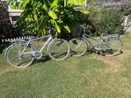 Vélos 