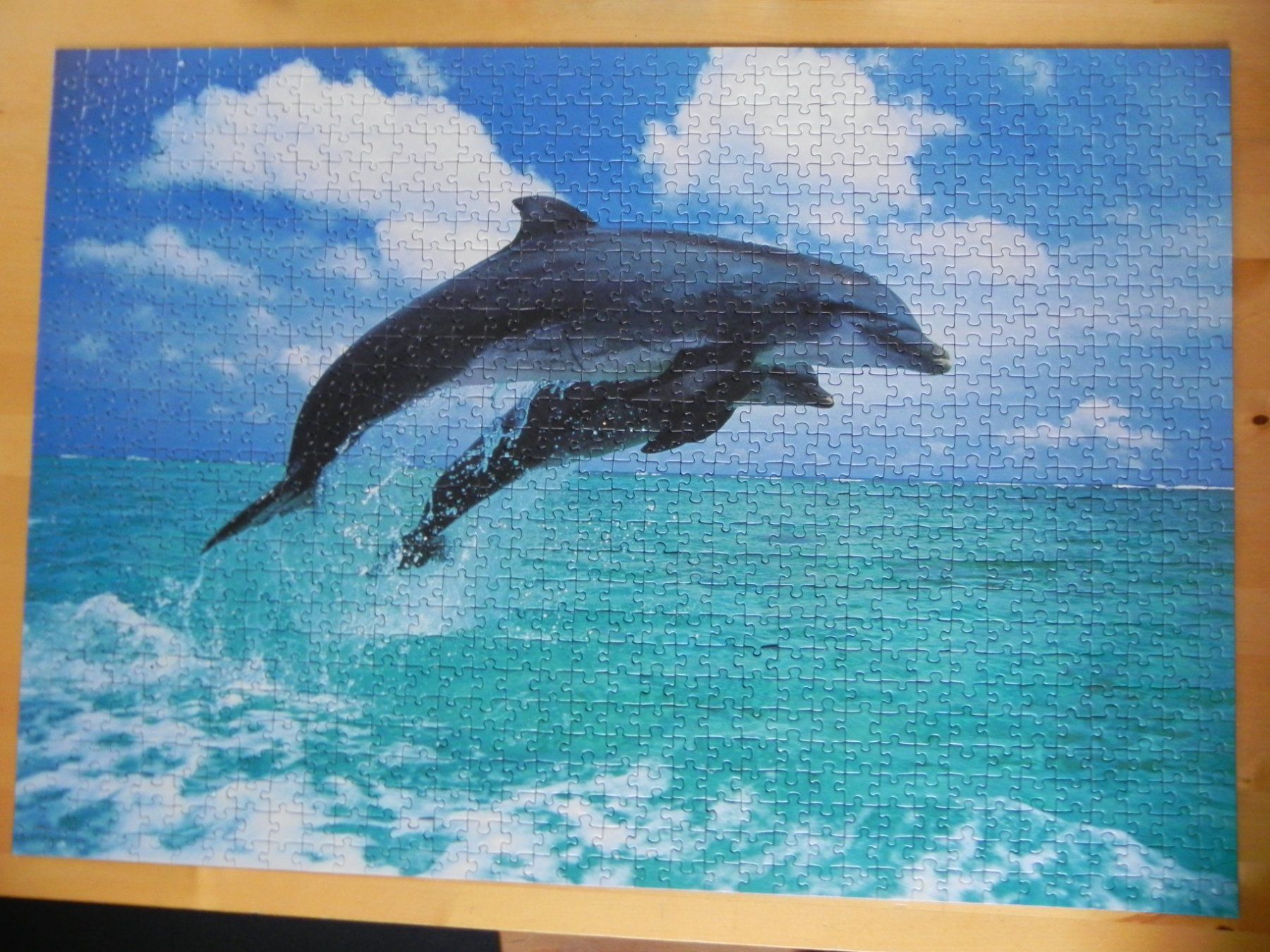 Puzzle: Puzzle Delfin 1000 Teile springende Delfine – Usato da Stallikon venduto da pcerny16