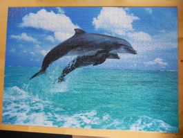 Puzzle Delfin 1000 Teile springende Delfine