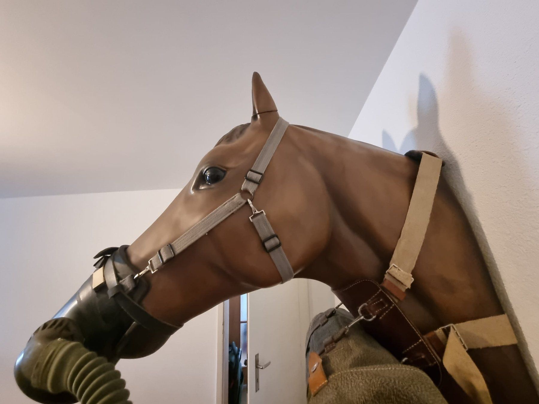 Schweizer Armee Uniformi: Pferdegasmaske 1940 mit Pferdekopf Schweizer Armee Train – Usato da Niederönz venduto da Vgt22 1