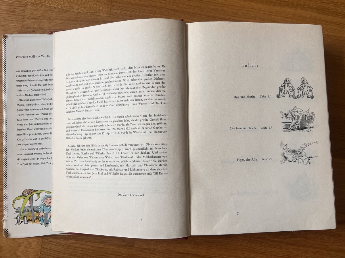 Libri: Wilhelm Busch Album – Usato da Ostermundigen venduto da airline-trolley 3