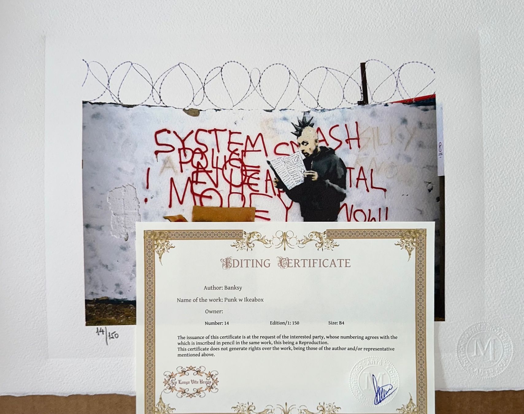Foto & Immagini: Banksy | Punk with Ikeabox – Usato da Bottighofen venduto da PiiiLoO 3