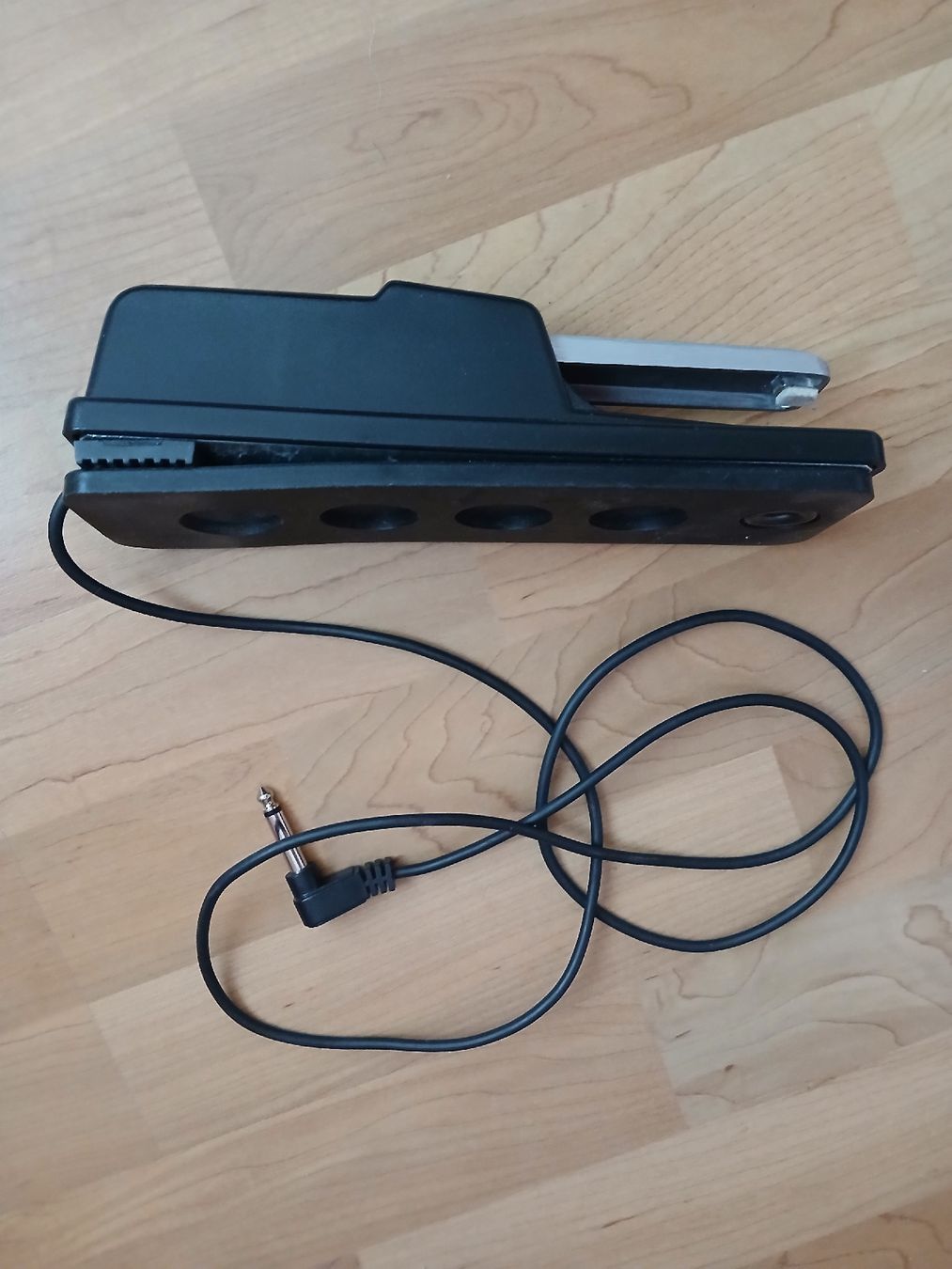 Roland Strumenti musicali: Pedale sustain Roland – Usato da Le Brassus venduto da bla_7wxg 1